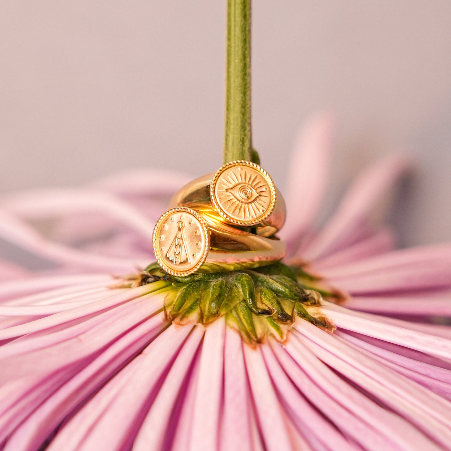 Anel Imprint Redondo Pink Ring Olho Raiado 18k