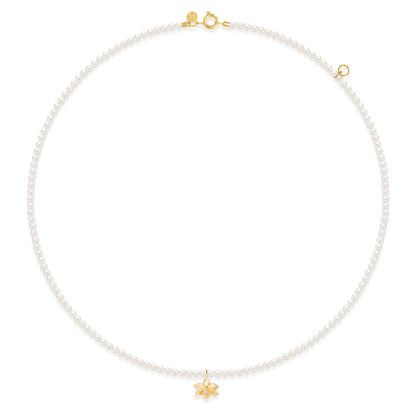 Choker Orquídea com Pérolas 18k